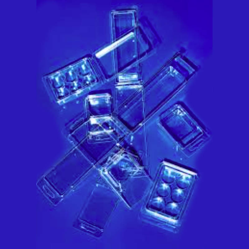 Plastic Blister Packs Molding