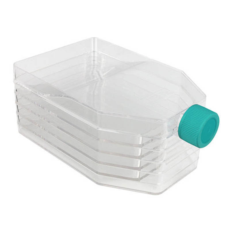 Plastica di coltura cellulare di plastica stampaggio