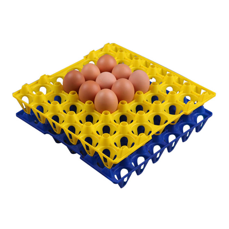 Modanatura del vassoio per uova di plastica