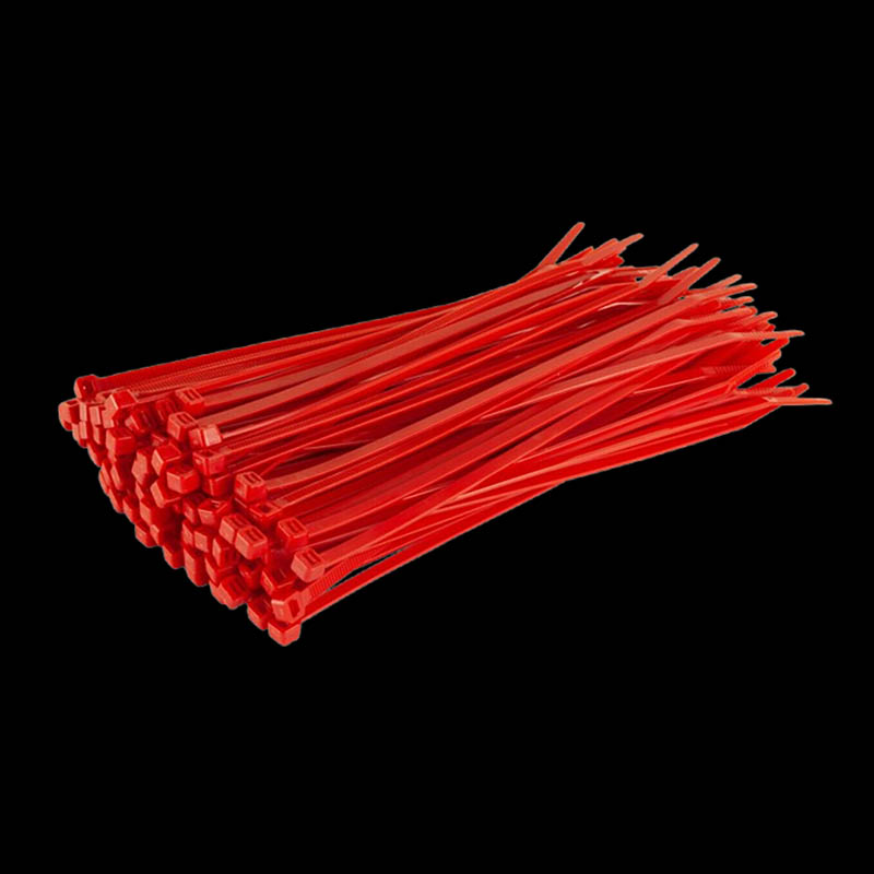 Iniezione di stampo per zip in plastica