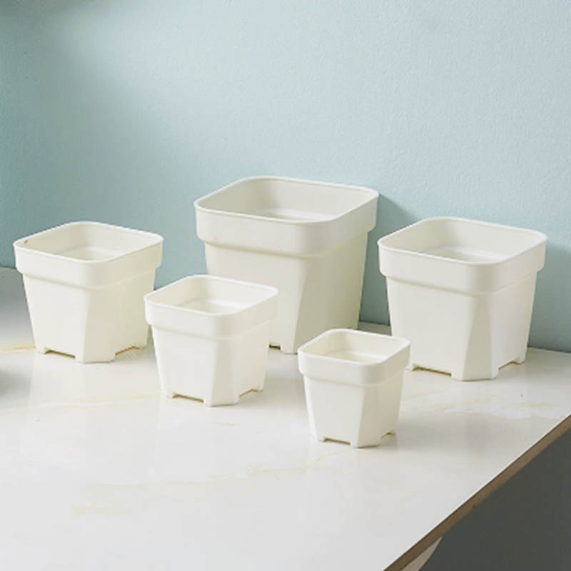 Modanatura in vaso